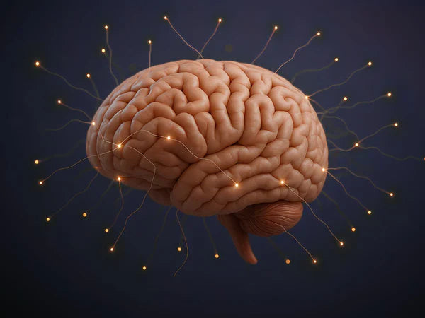 Scientifically Proven: The Safe and Natural Way to Keep a Sharp Mind and Prevent Cognitive Decline