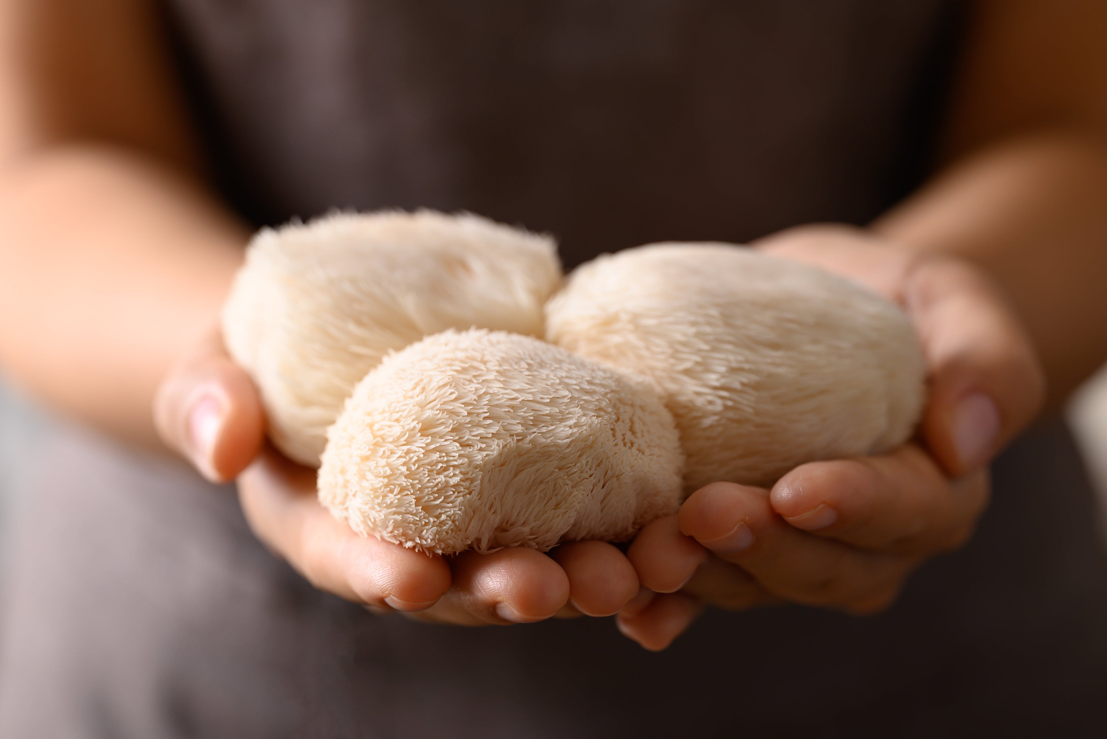 Can Lion’s Mane Improve Mental Performance in the Short Term? A Look at Recent Scientific Findings