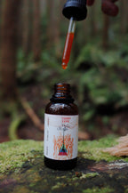 Cordyceps militaris Dual-Extract :Mycodrop