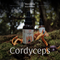 活力蟲草 蘑菇萃取滴劑