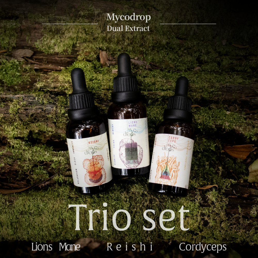 【全方位3in1】三種菇菇萃取滴劑組合