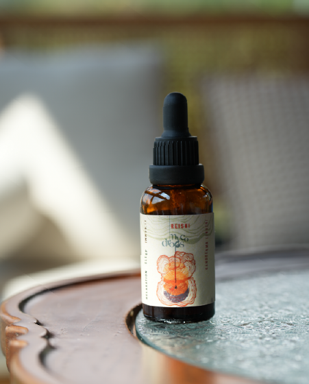 Ganoderma lucidum mushroom extract -Mycodrop