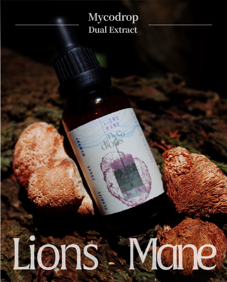 Hericium erinaceus mushroom extract- Mycodrop