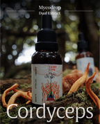 Cordyceps militaris Dual-Extract :Mycodrop