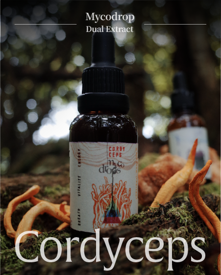 Cordyceps militaris Dual-Extract :Mycodrop